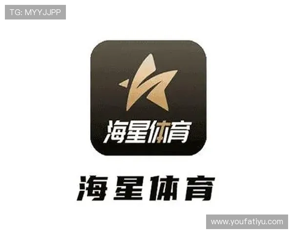 海星体育正规网址查询指南，确保每次游戏都能安全顺畅进行
